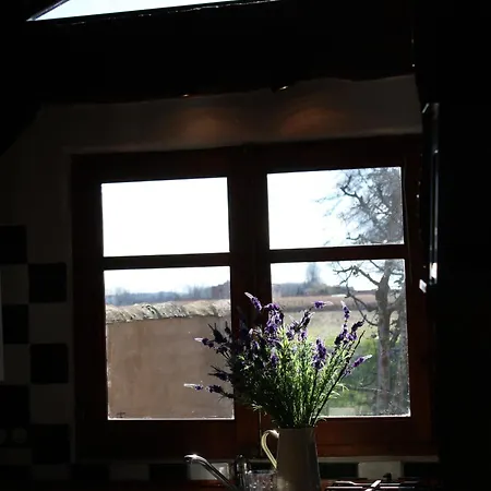 Holiday home Molino El Sotillo *